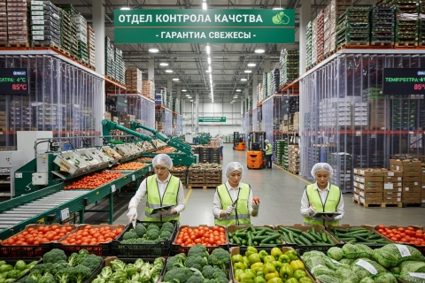 Закулисье Агропарка: как устроен контроль качества на оптовом складе свежих овощей и фруктов
