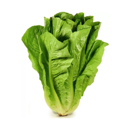 Салат Ромейн, Бренд XYZ, 1 кг
