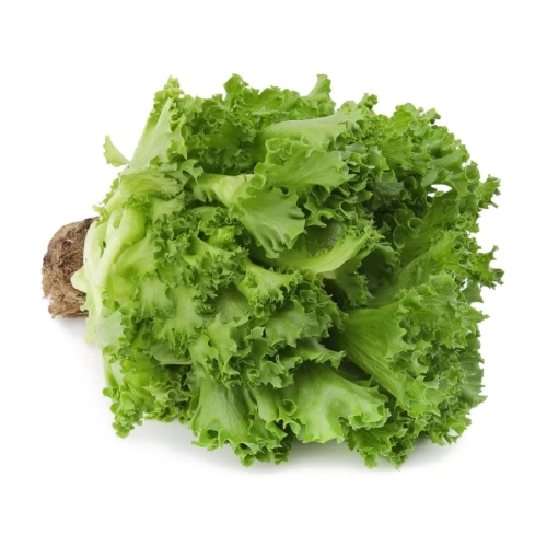 Салат Фриллис, , 1 кг