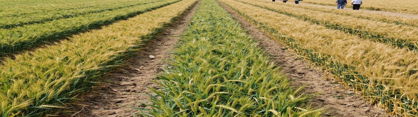 Агропробег-2026: советы экспертов — цены и поставки | agroparkspb.ru