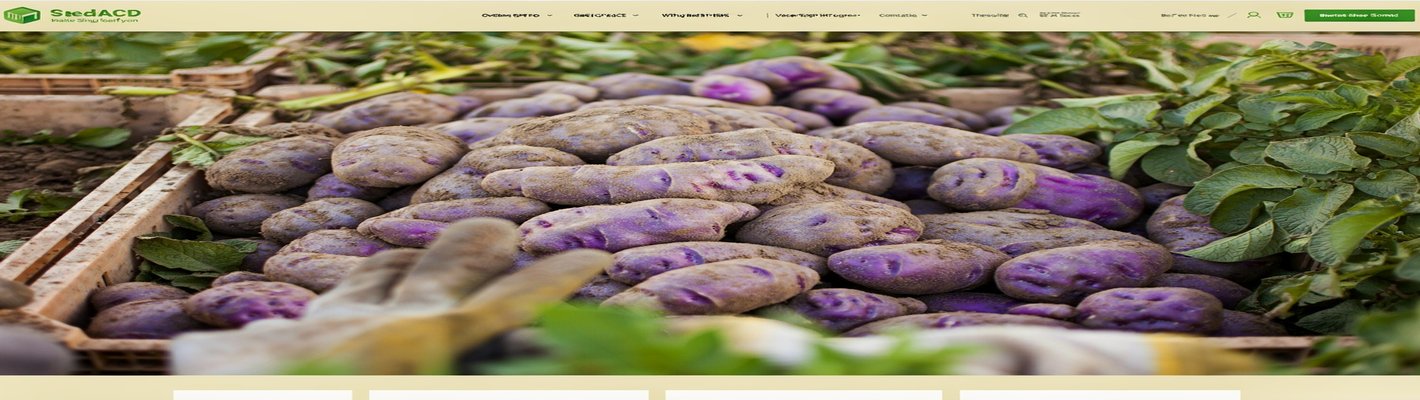 Картофель нового урожая: цены, поставки, прогноз | agroparkspb.ru