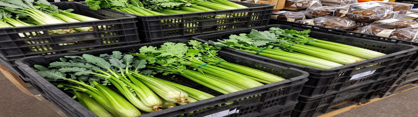 Хлеб подорожает: куда уходит выручка пекарей | agroparkspb.ru