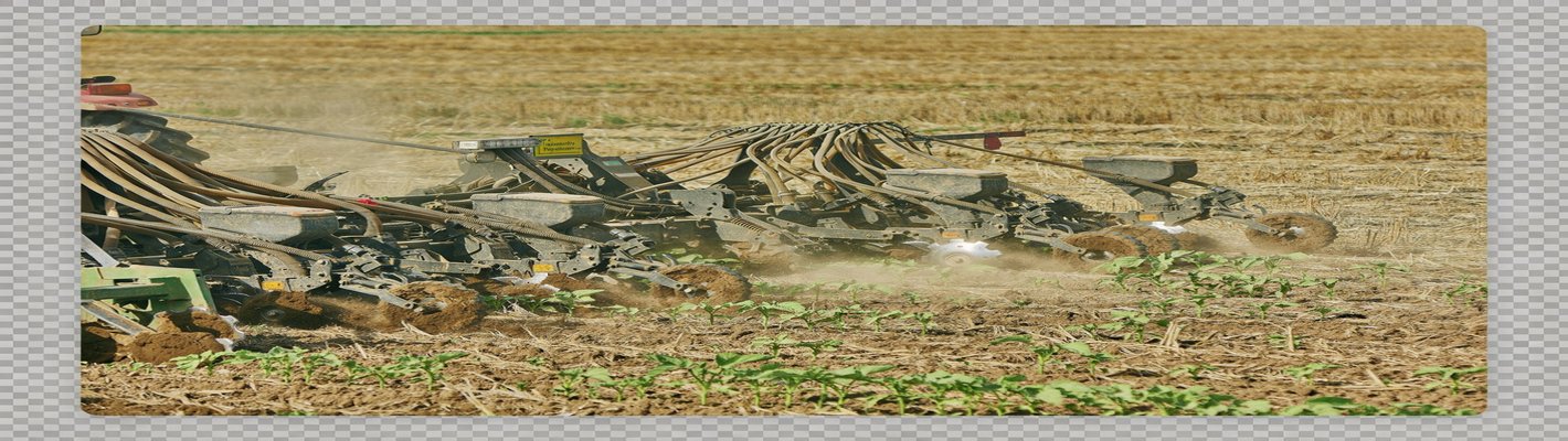 Красная чечевица: цены и спрос в 2025 | agroparkspb.ru