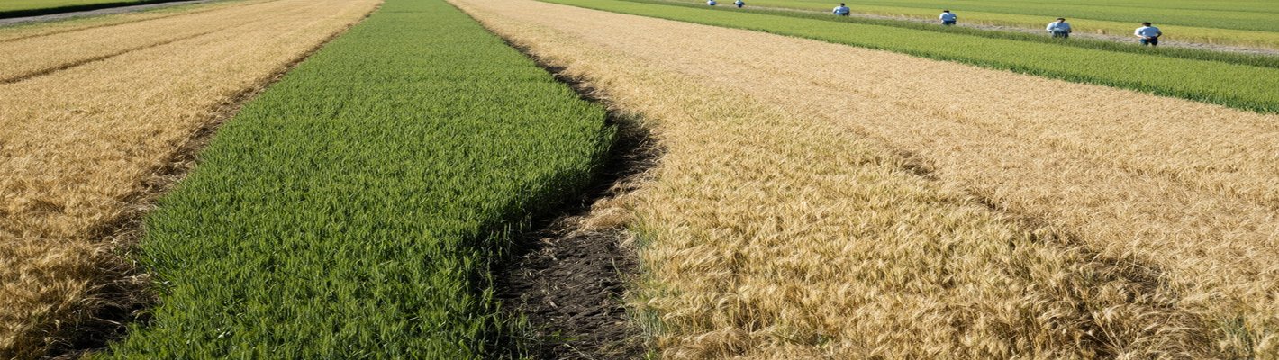 Льготные кредиты аграриям: страховка с 2029 года | agroparkspb.ru