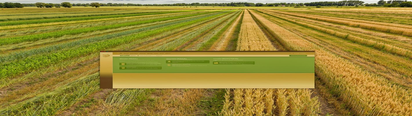 Лучшие сорта пшеницы 2026: урожай 120 ц/га и цены на хлеб | agroparkspb.ru