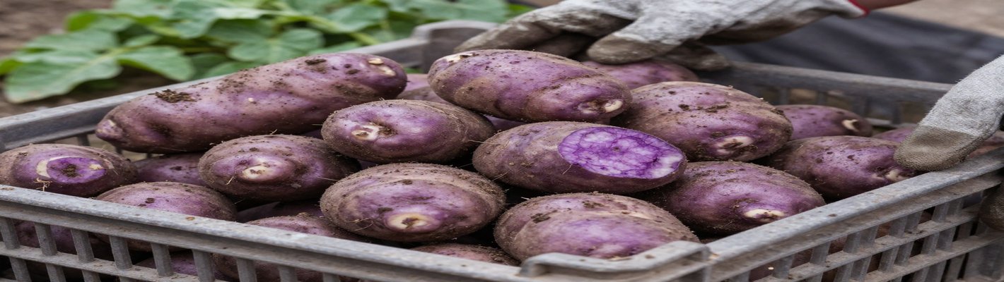 Резистентность патогенов на картофеле — как не потерять урожай