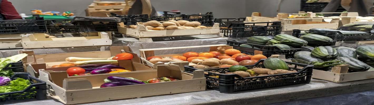 ТН-ГРУПП: мониторинг техники — экономия на логистике продуктов | agroparkspb.ru