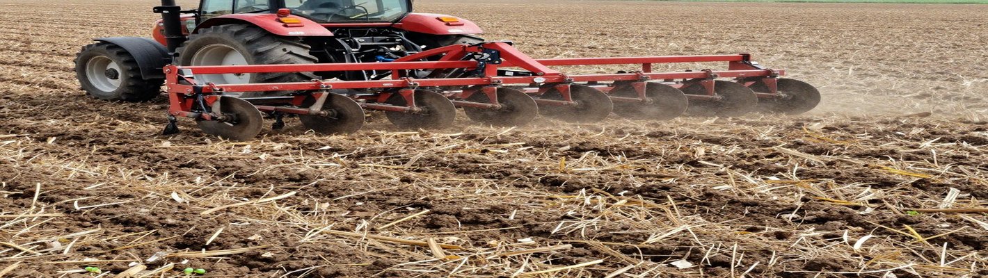 Зерно: урожай +22%, логистика +30% — цены на опте | agroparkspb.ru