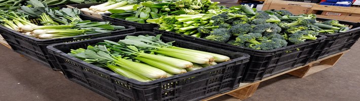 Зерно встало: фрахт вырос в 3 раза, цены вырастут ещё на 15-20%