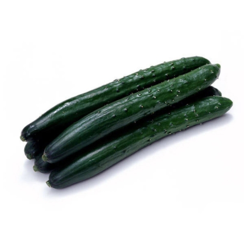 Огурцы пупырчатые Иран оптом