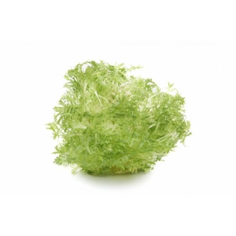 Салат фризе