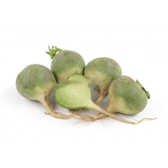 Редька зеленая