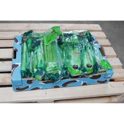 Сельдерей стеблевой оптом