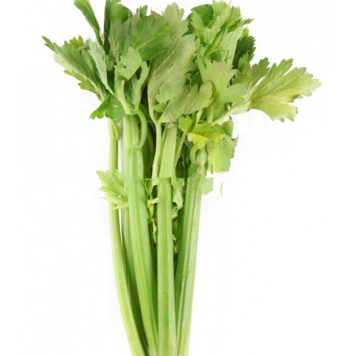 Сельдерей стебель оптом