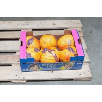 Бразильские желтые дыни