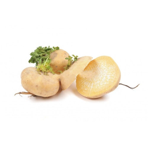 Репа желтая оптом