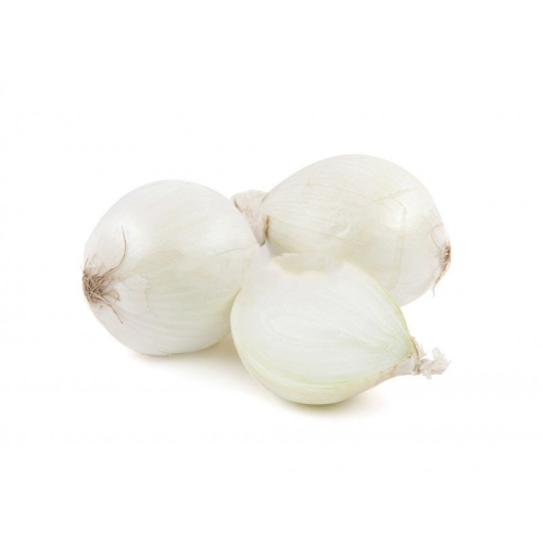 Лук белый оптом