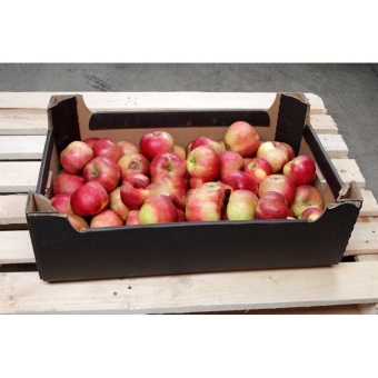 Яблоки Айдаред