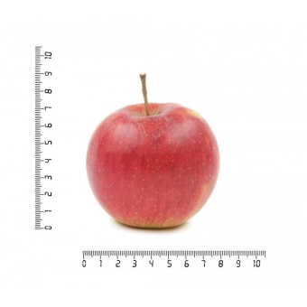 Яблоко малинка