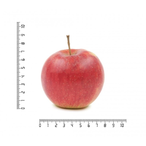 Яблоко малинка оптом