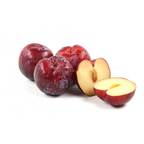 Слива красная оптом
