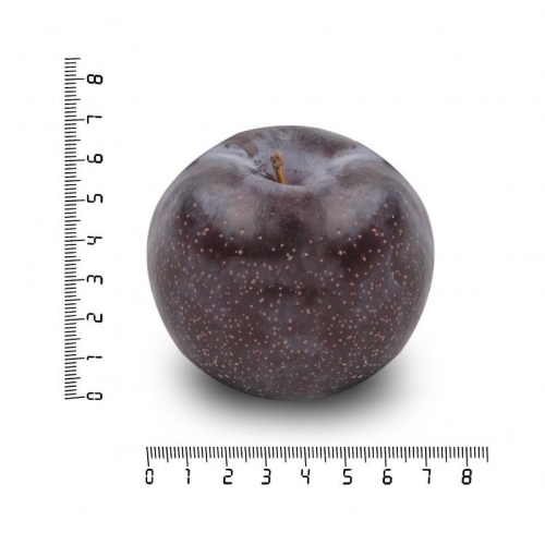 Слива оптом