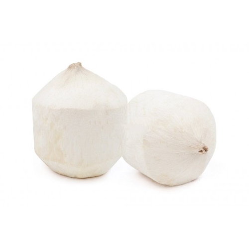 Молодой кокос оптом