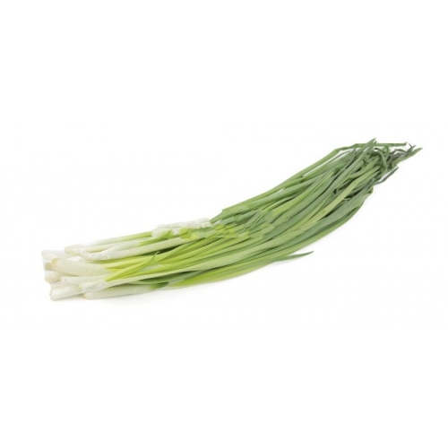 Лук молодой с зеленью оптом