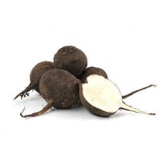 Редька черная