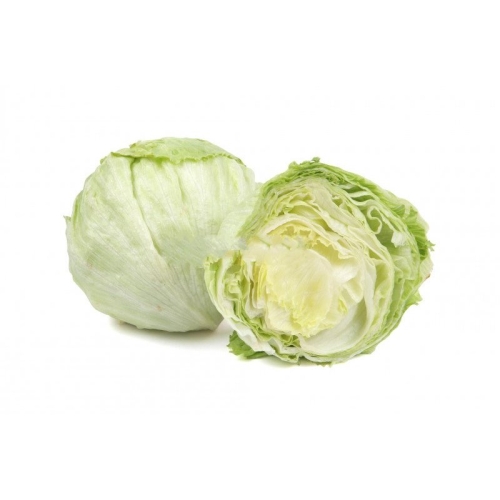 Салат айсберг оптом