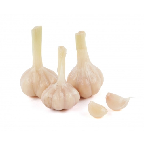 Чеснок маринованный оптом