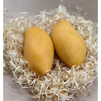 Манго Камбоджа