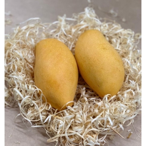 Манго Камбоджа оптом