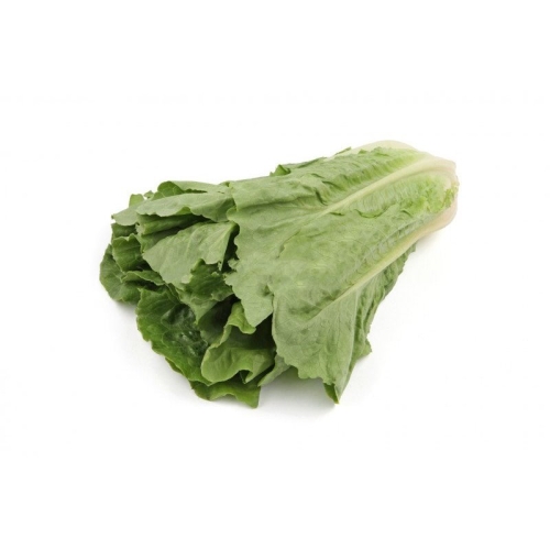 Салат романо оптом