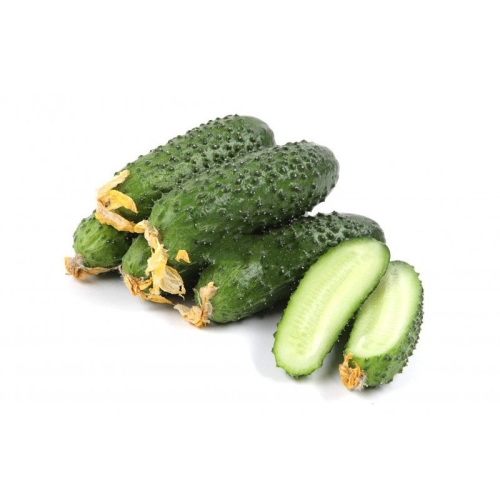 Огурцы кураж оптом