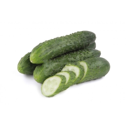 Огурцы пупырчатые среднеплодные оптом