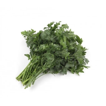 Петрушка пучок