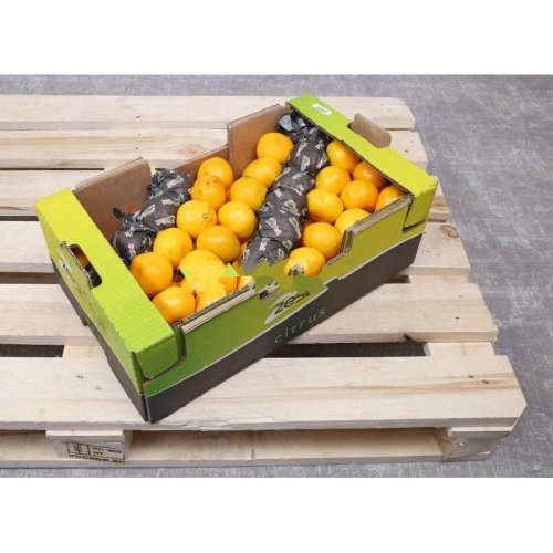 Мандарины Аргентина оптом