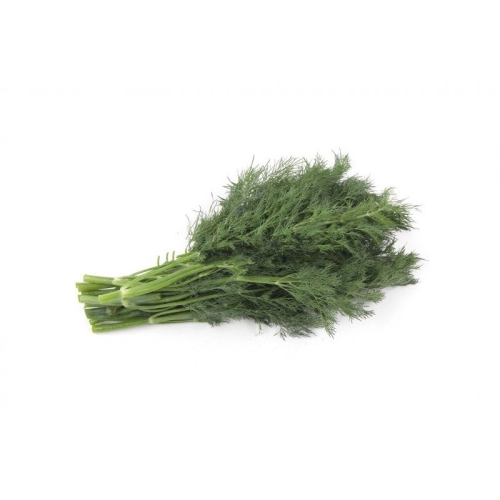 Укроп пучок оптом