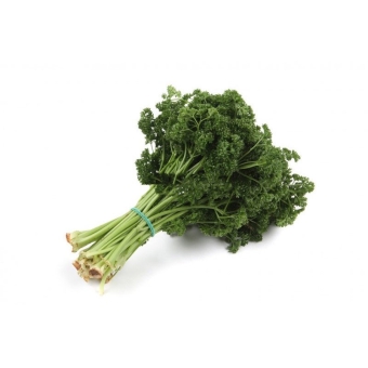 Петрушка кудрявая