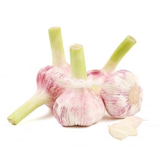 Чеснок молодой