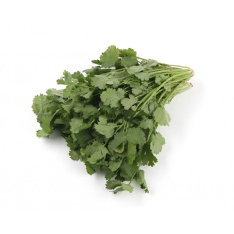 Кинза свежая
