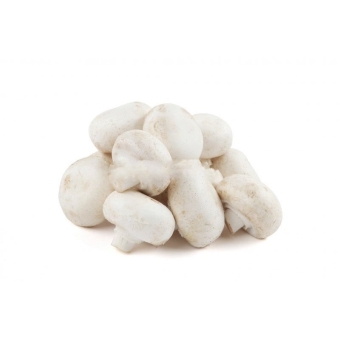 Шампиньоны грибы