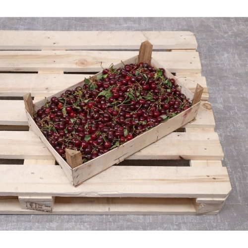 Вишня оптом