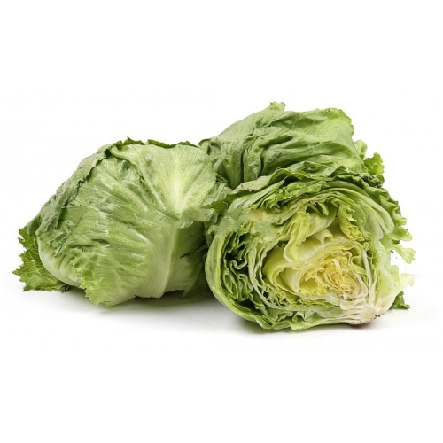 Салат латук оптом