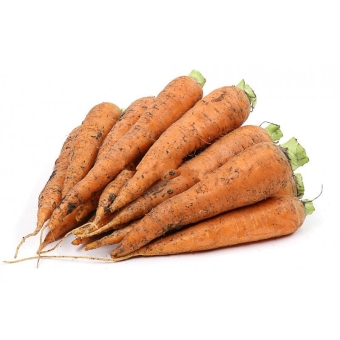 Морковь молодая