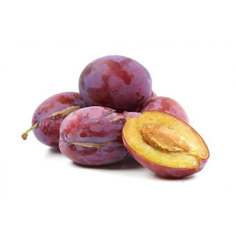 Слива красная венгерка