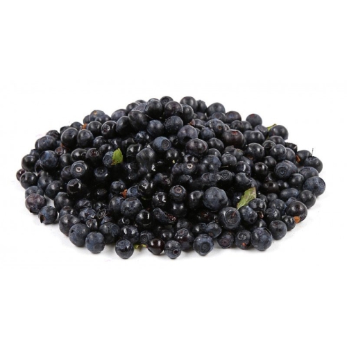 Черника сезонная СНГ оптом