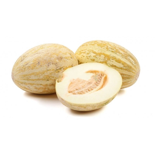 Дыня торпеда оптом