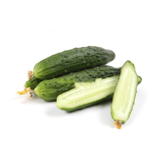 Огурцы ТСХА